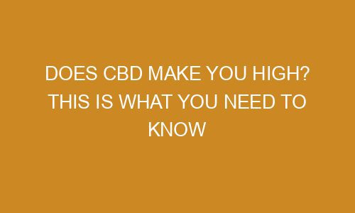 Does CBD Make You High? This Is What You Need to Know - Zazabis